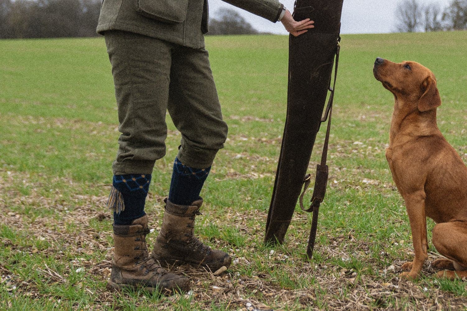 W's Hillside Harriet Trouser Moss Green, view: 8