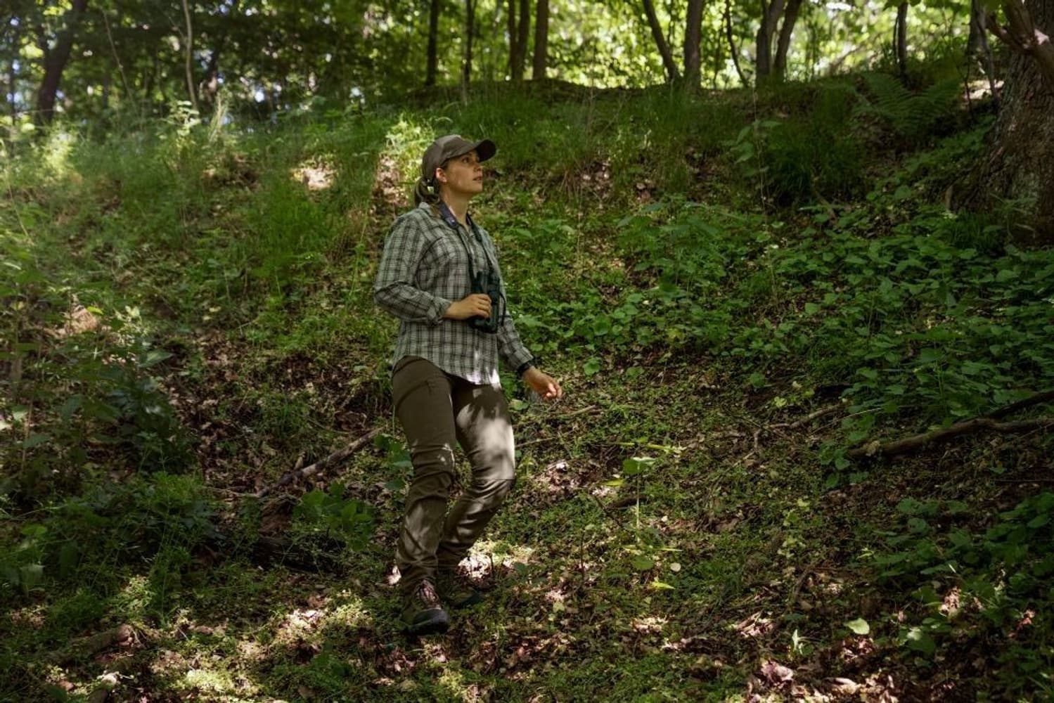 Larch Stretch Trouser Women Chocolate Torte Pine Green/, view: 6