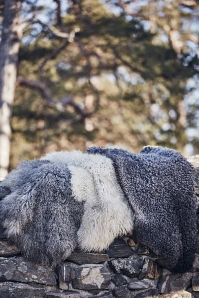 Visby svenskt fårskinn 100x60 cm Natur/Beige, view: 2