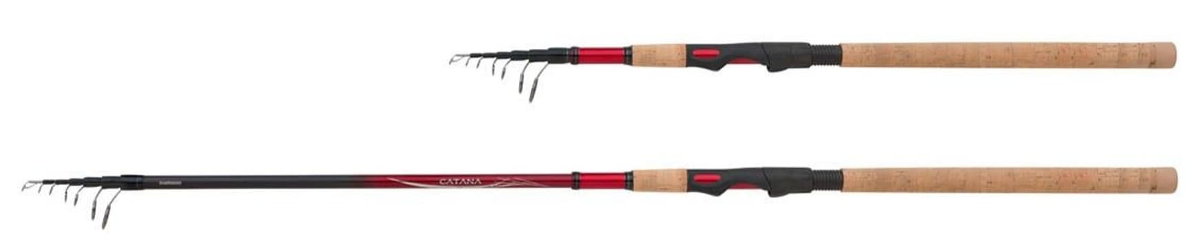 Catana EX Spinning Tele 2,70m 10-30g 6pc, view: 0