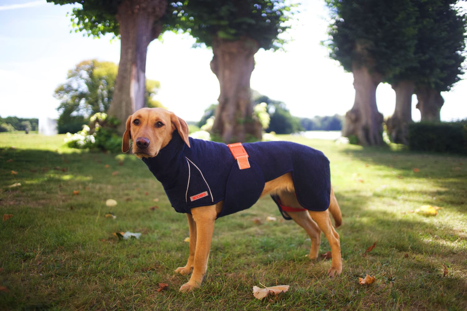 Supreme Pro 2.0 40 cm Granit, view: 1