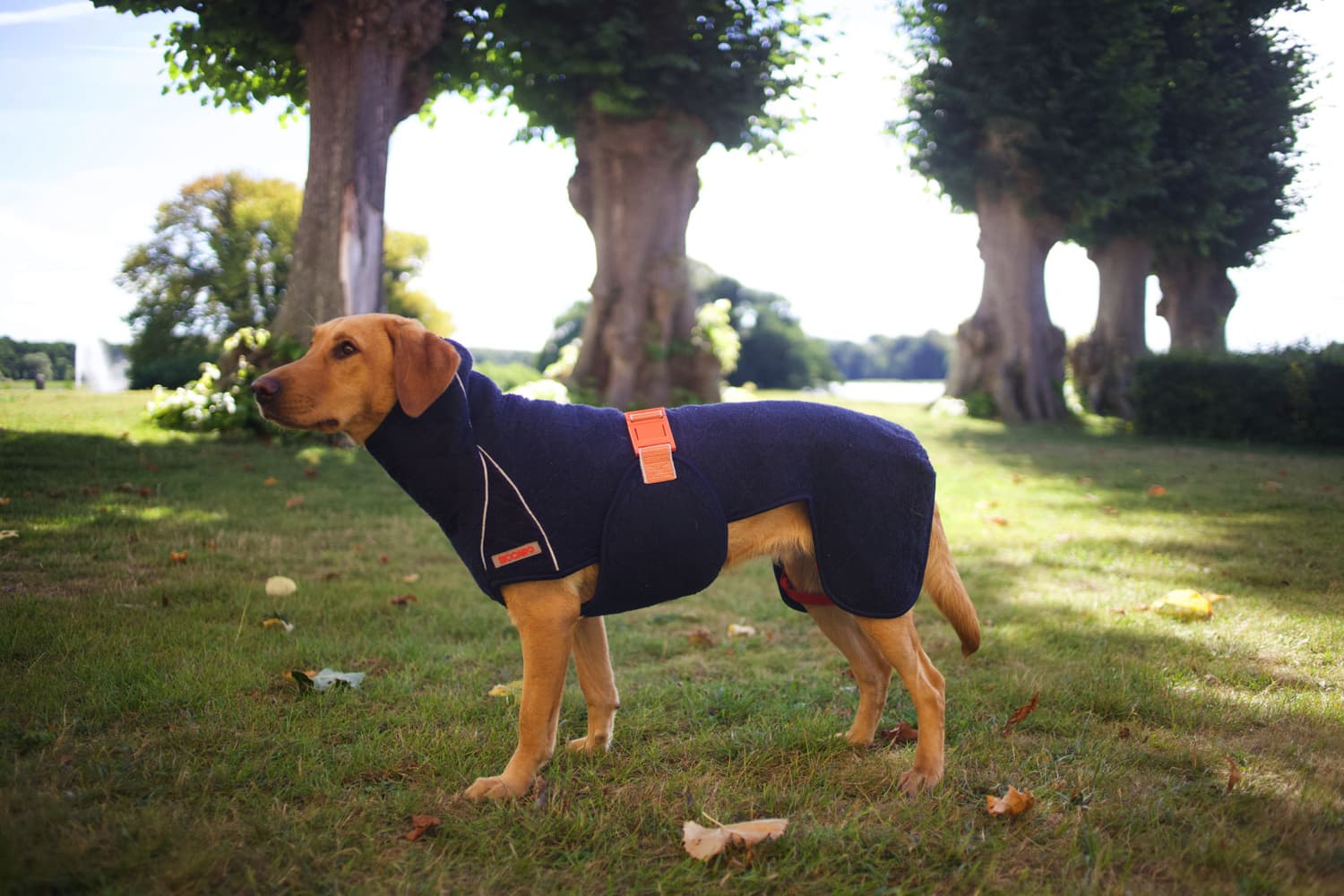 Supreme Pro 2.0 40 cm Granit, view: 2