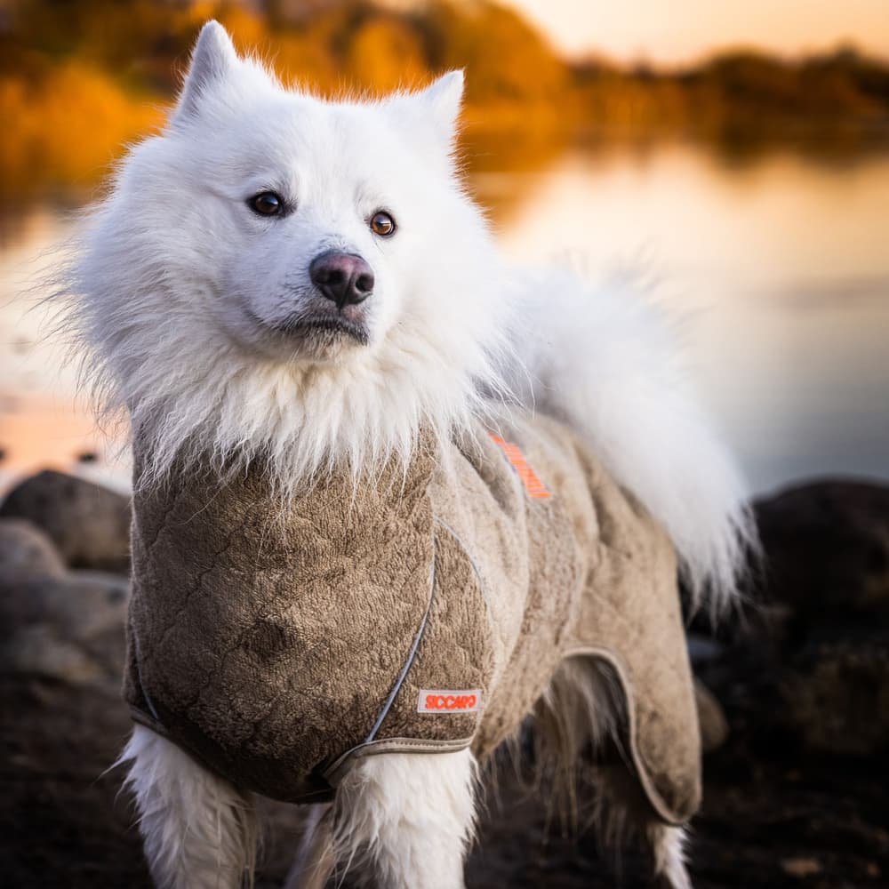 Supreme Pro 2.0 70 cm Elmwood, view: 2