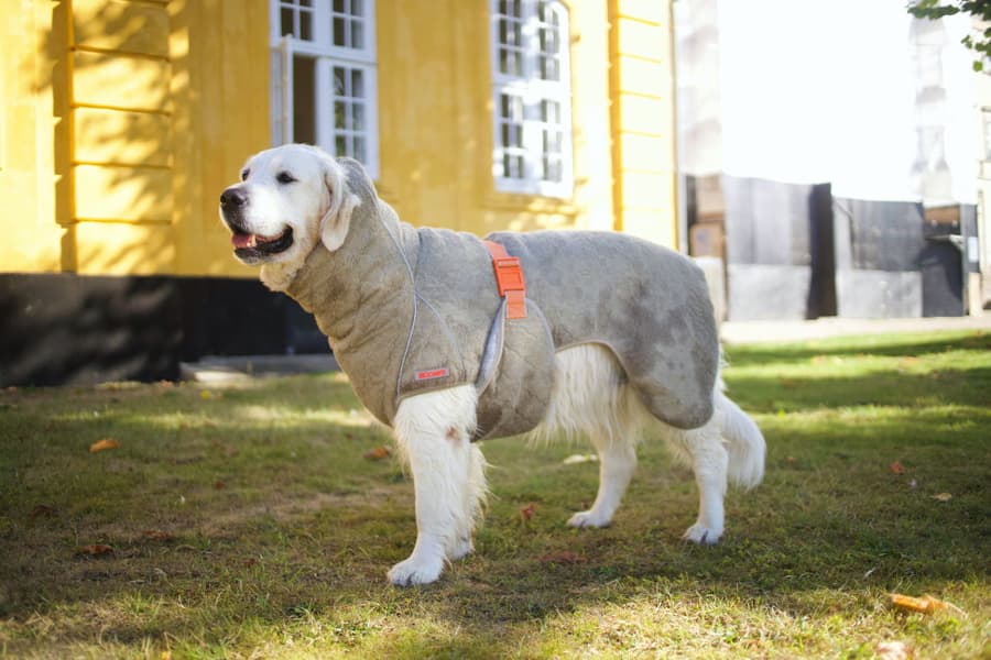 Supreme Pro 2.0 55 cm Elmwood, view: 1