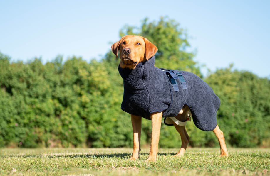 WetDog SupremePro XL Granite, view: 4