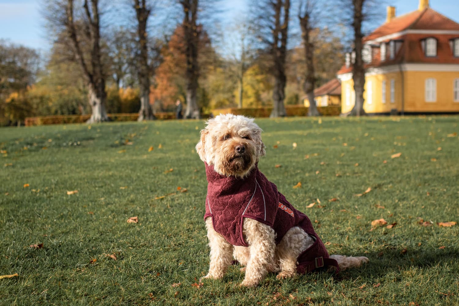 Solution Drying Robe 40 (M) Zinfandel Red, view: 3