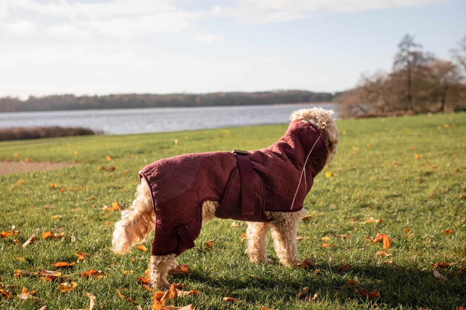 Solution Drying Robe 40 (M) Zinfandel Red, view: 6