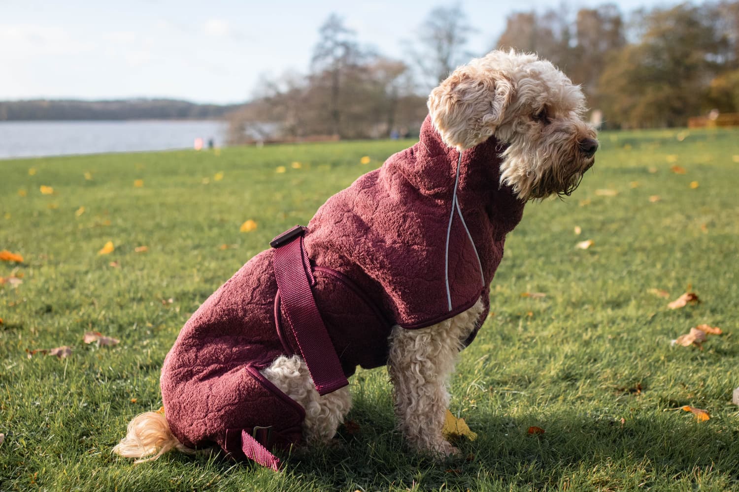 Solution Drying Robe 40 (M) Zinfandel Red, view: 2