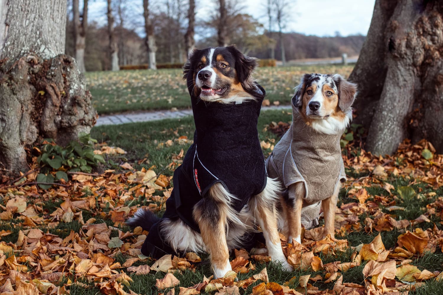 Solution Drying Robe 60 (XL) Sand, view: 5