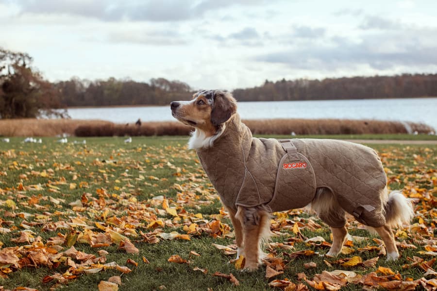 Solution Drying Robe 70 (XXL) Sand, view: 5