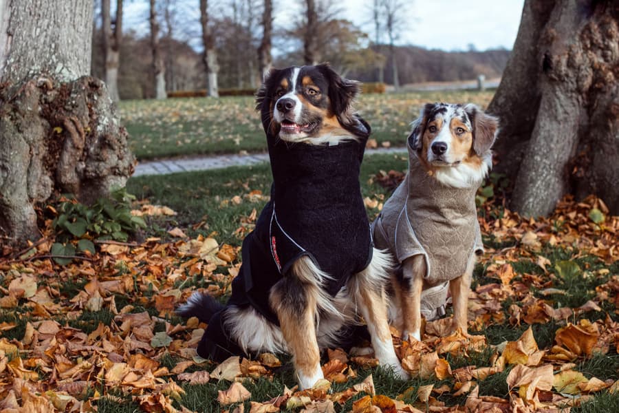 Solution Drying Robe 70 (XXL) Sand, view: 4