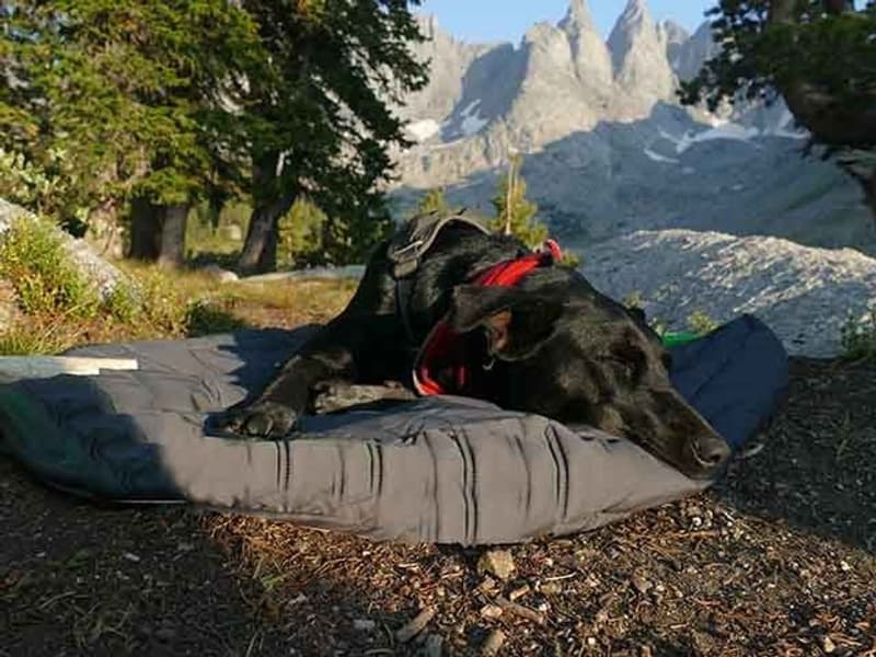 Outchair Värmedyna 75X90CM S, view: 7