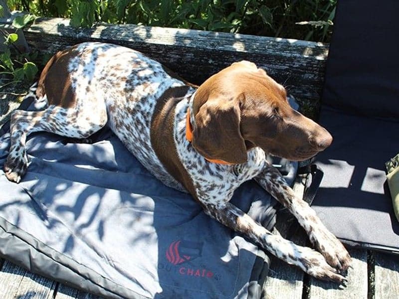 Outchair Värmedyna 120X90CM L, view: 8