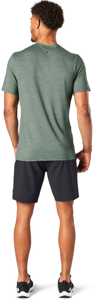 M MS150 Van Days Tee Sage, view: 2