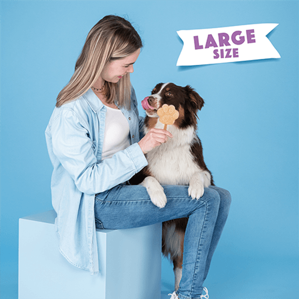 Dog Ice Form L, view: 3