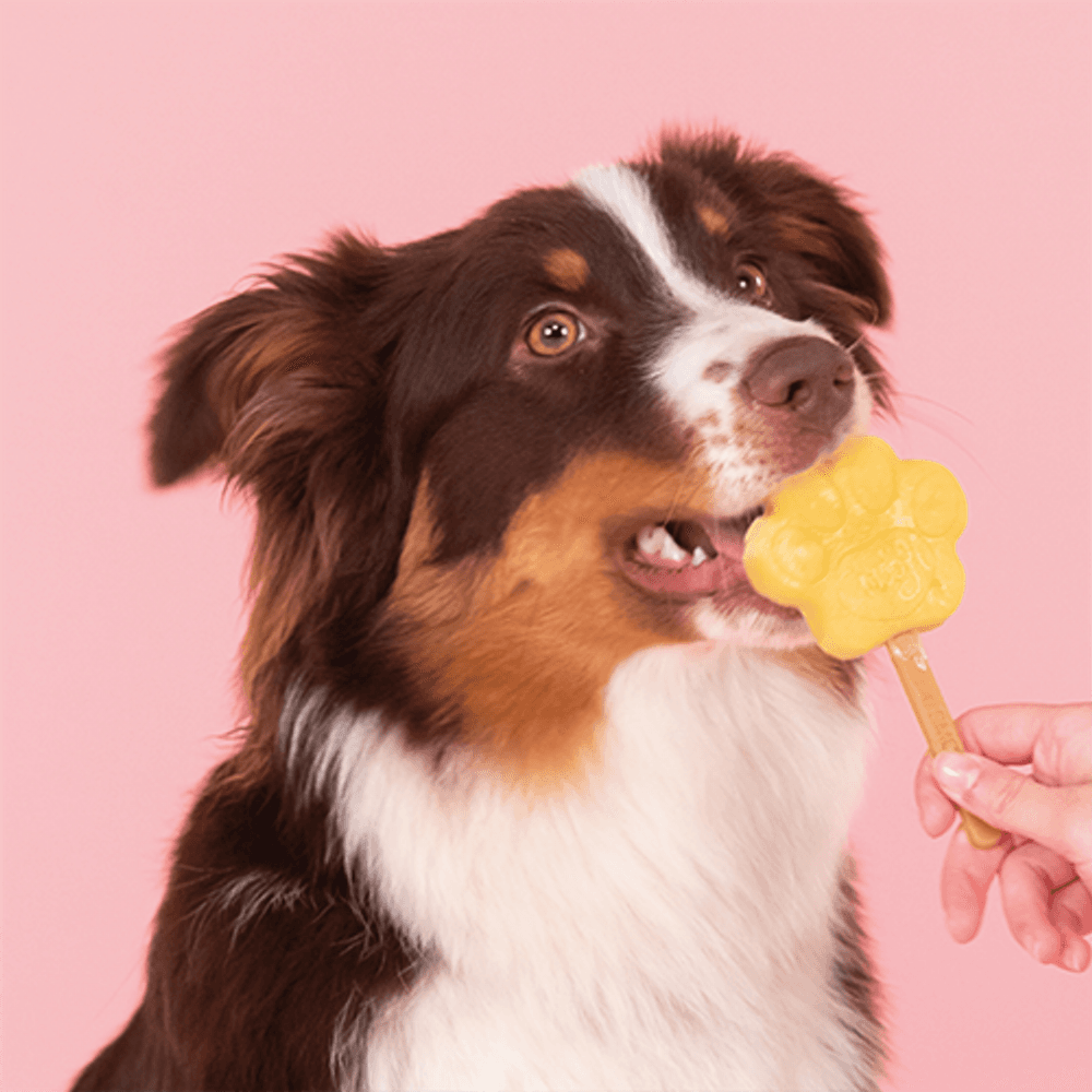 Dog Ice Form M, view: 4