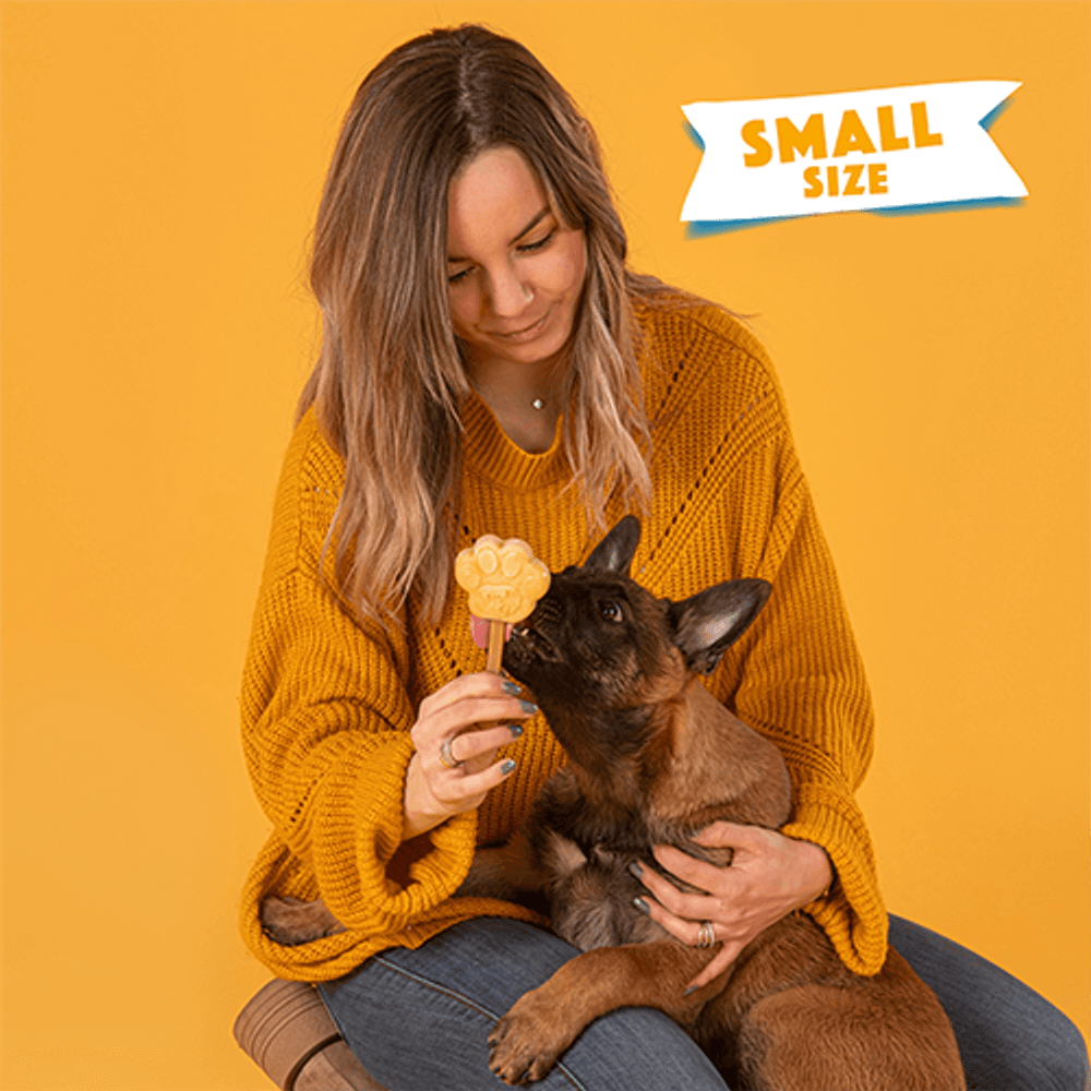 Dog Ice Form S, view: 2