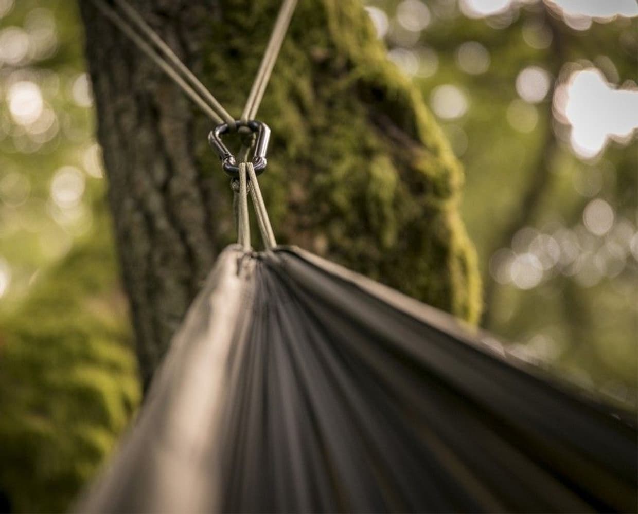 Tropical Hammock, view: 5