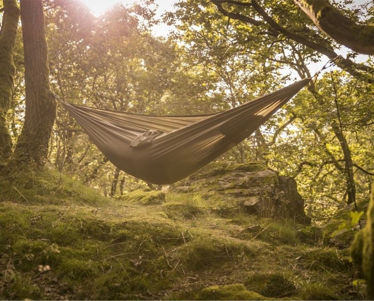 Tropical Hammock, view: 2