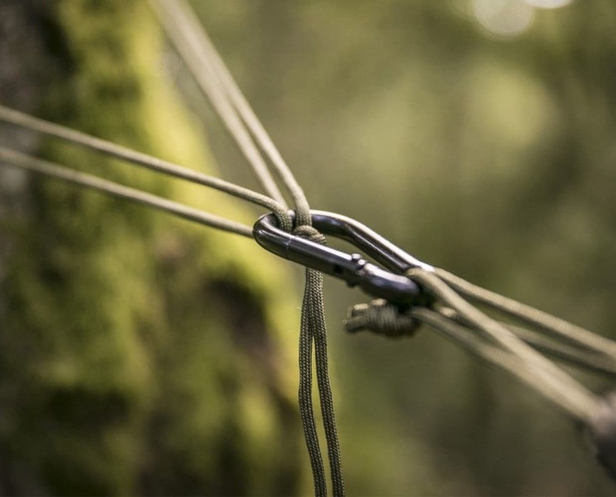 Tropical Hammock, view: 6