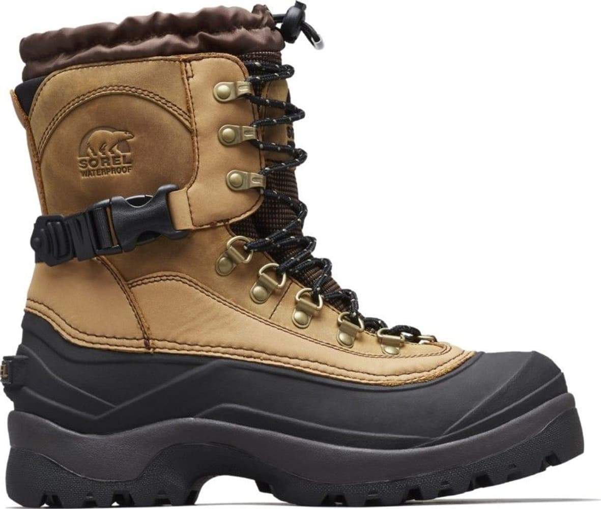 M's Conquest Bark, view: 0