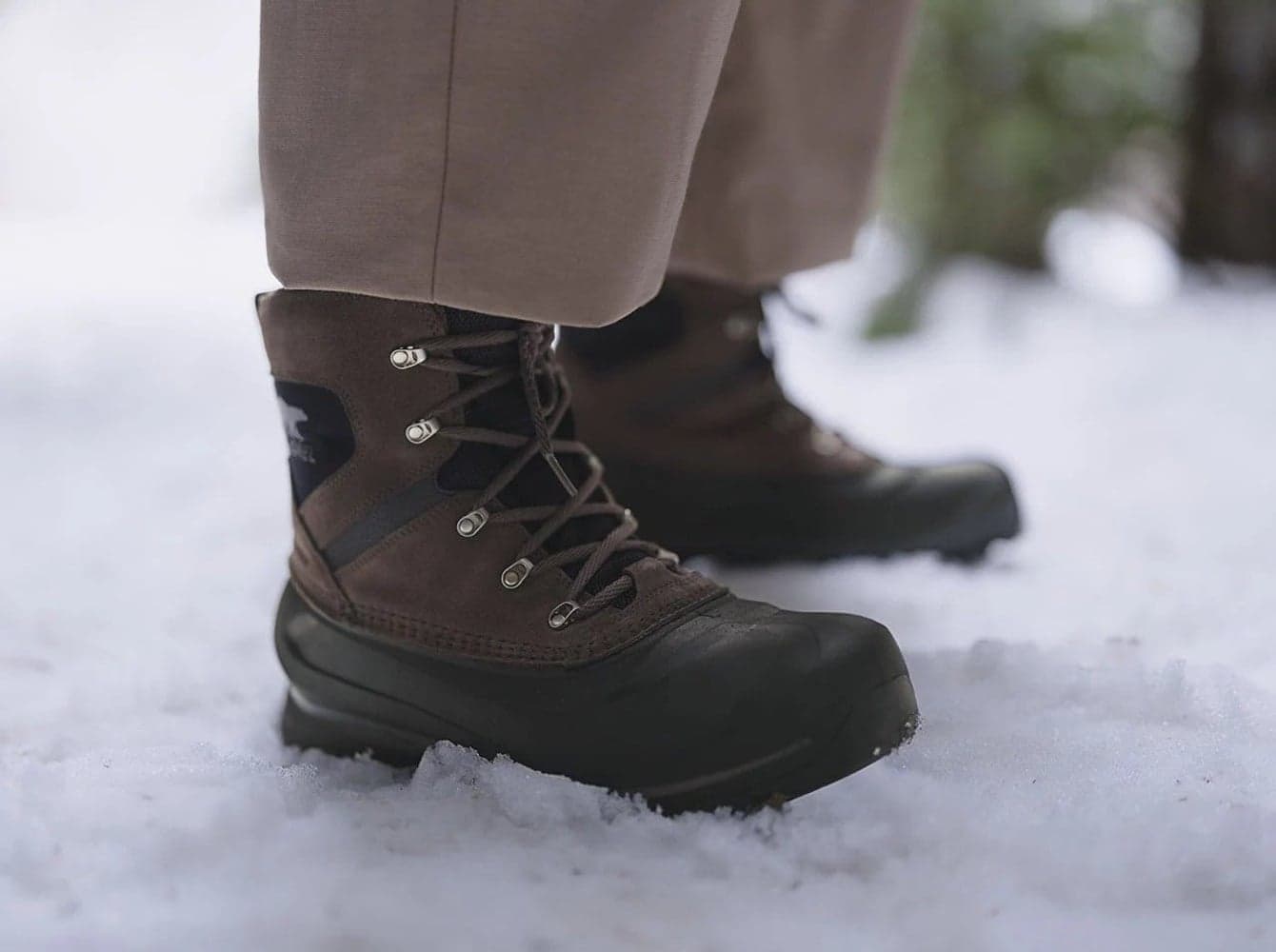 M's Buxton™ Lace WP k Major/Blac, view: 7