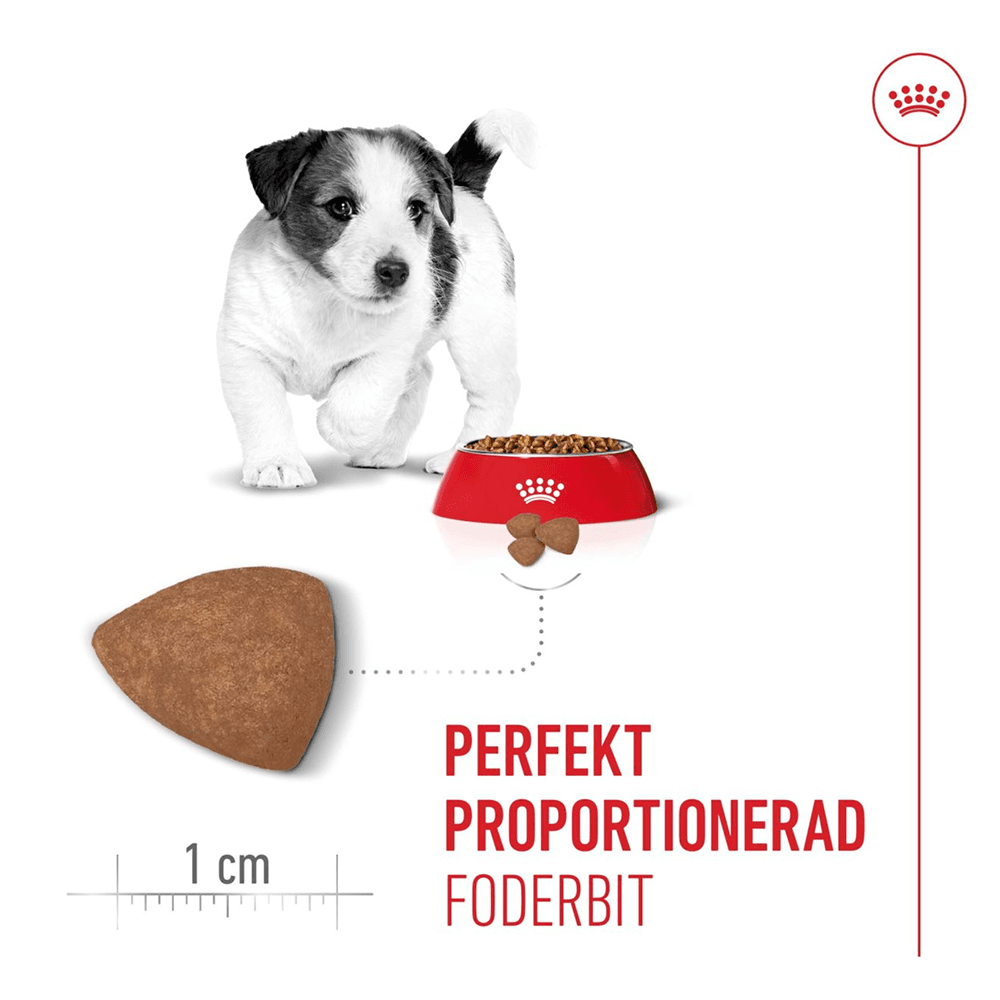 Mini Puppy 8 kg, view: 3