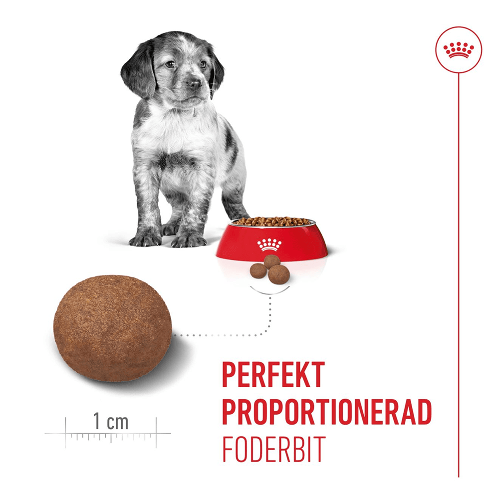 Medium Puppy 15 kg, view: 3
