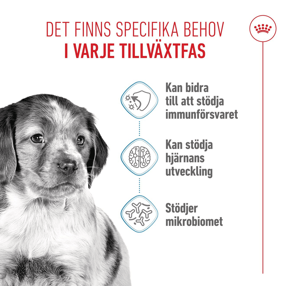 Medium Puppy 15 kg, view: 1