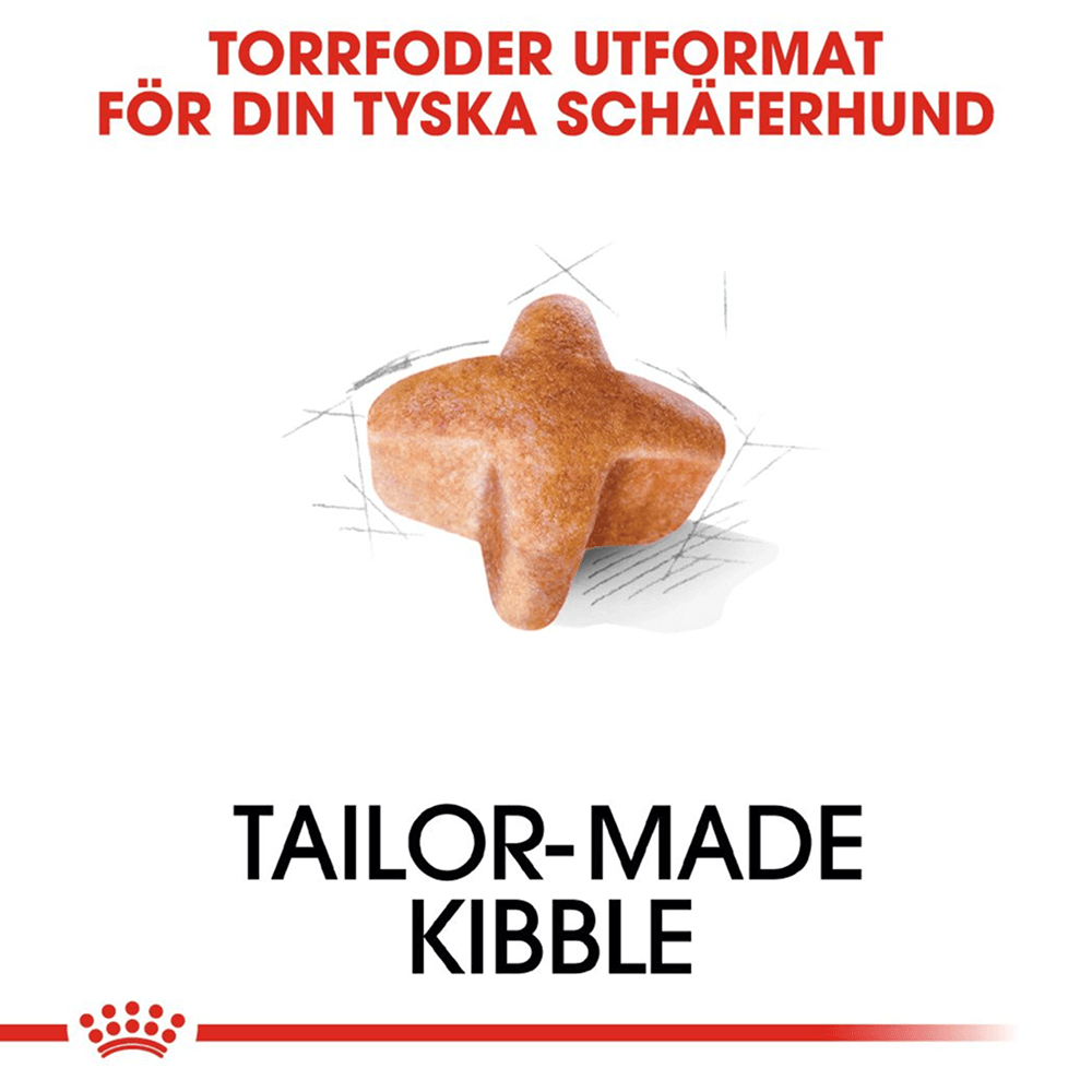 German Shepherd Adult 11 kg, view: 3