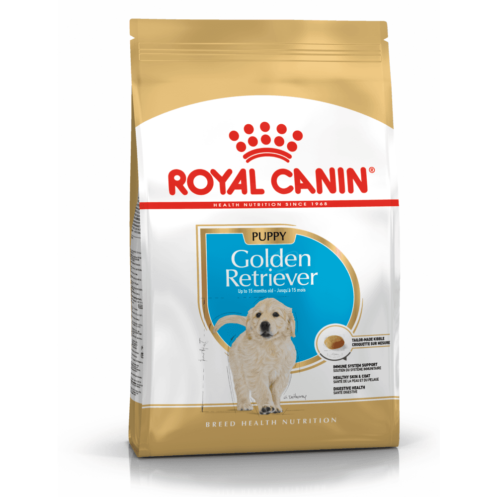 Golden Retriever Puppy 12 kg, view: 1