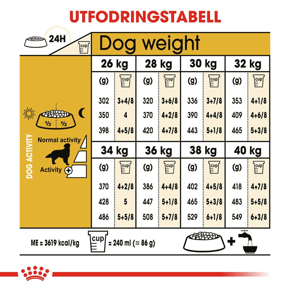 Golden Retriever Adult 12 kg, view: 5