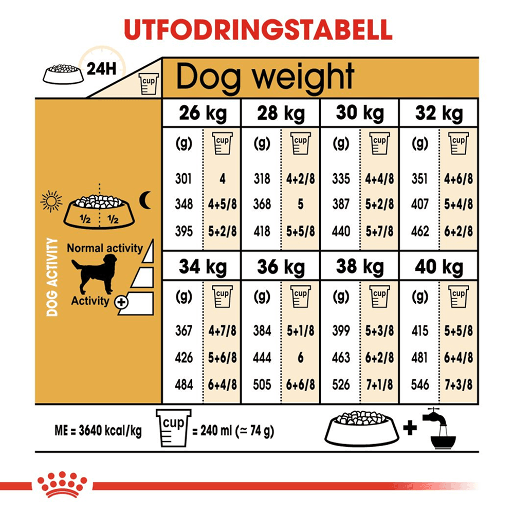 Labrador Retriever Adult 12 kg, view: 5