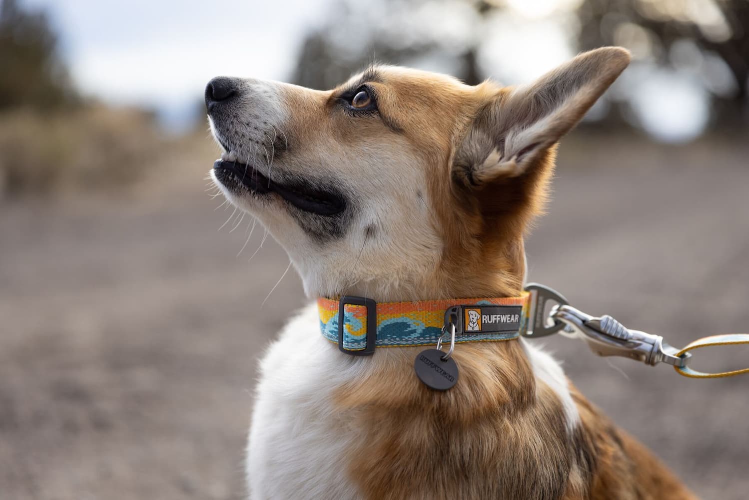 Crag Collar Rising Wave, view: 2