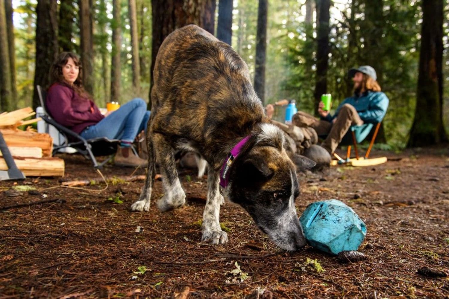 Gnawt-a-Rock Metolius Blue, view: 3