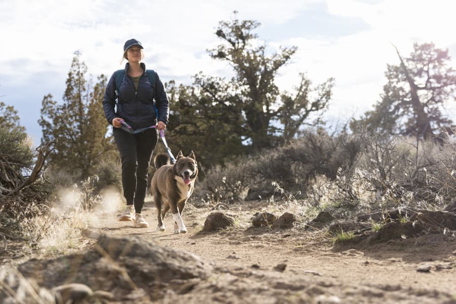 Crag Ex Leash Alpine Dusk, view: 14