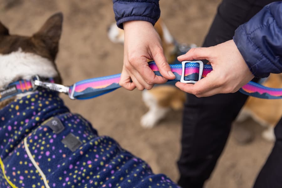 Crag Ex Leash Alpine Dawn, view: 1