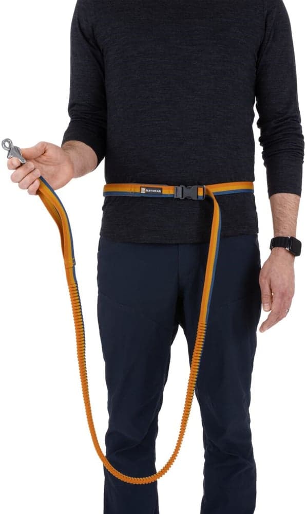 Roamer Leash Yellow Snow, view: 6