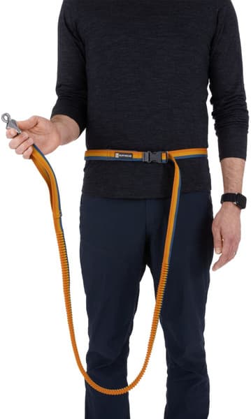 Roamer Leash Yellow Snow, view: 6