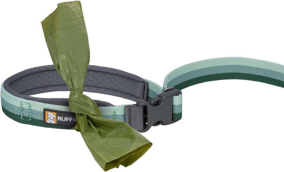 Roamer Leash River Rock Green, view: 2