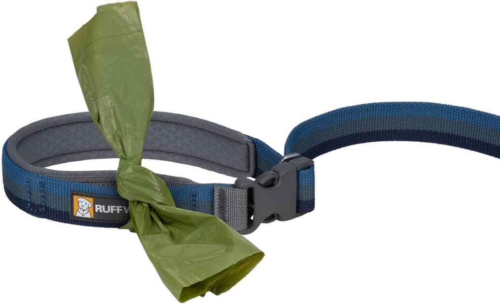 Roamer Leash Orion Blue, view: 2