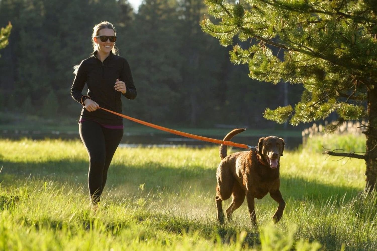 Roamer Leash Orange Sunset, view: 7
