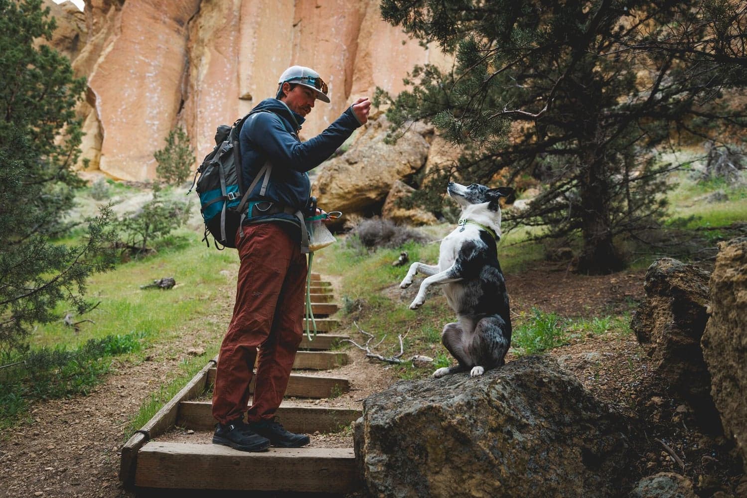 Knot-a-Collar Obsidian Black, view: 4