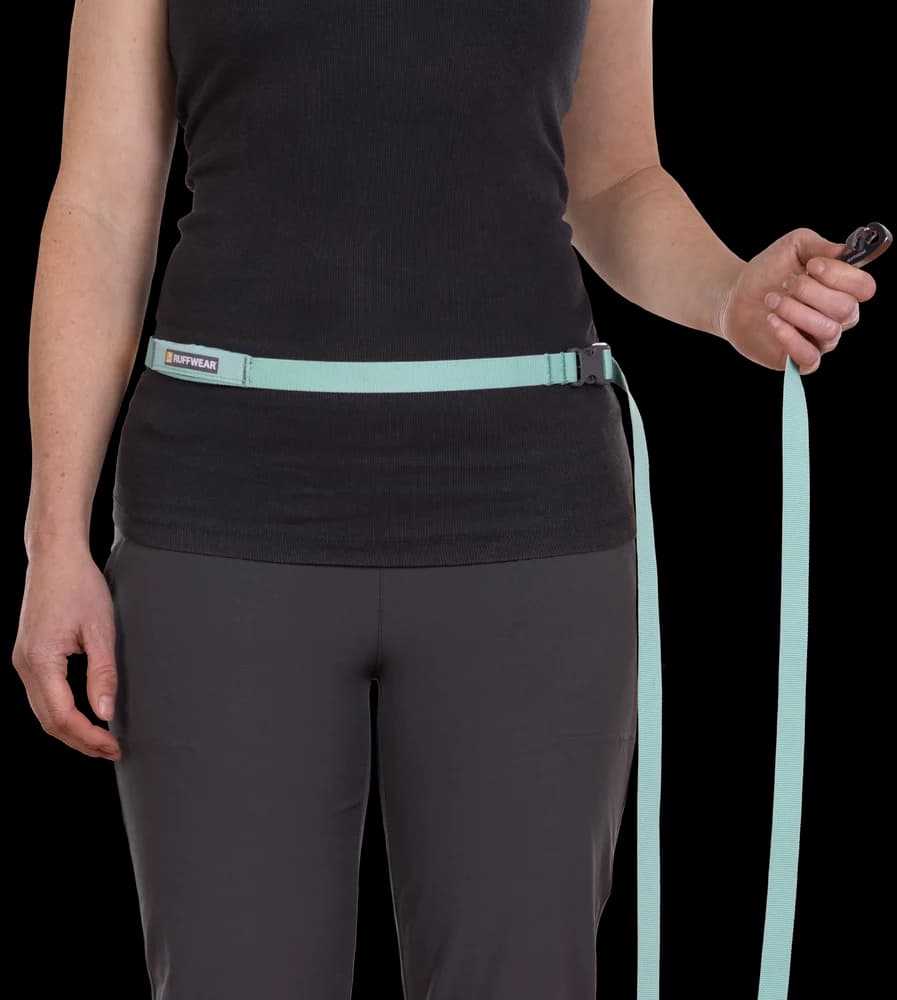Flagline Leash Sage Green, view: 0