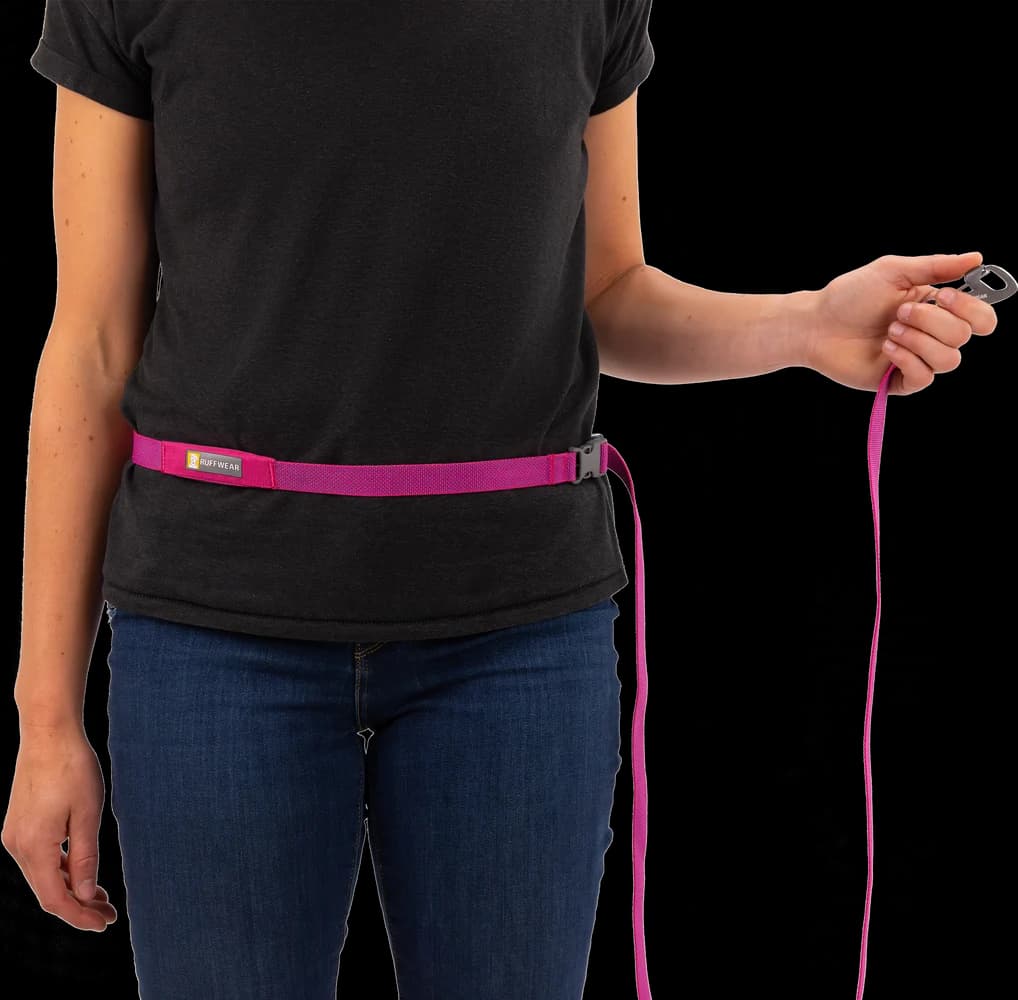 Flagline Leash Basalt Gray, view: 3
