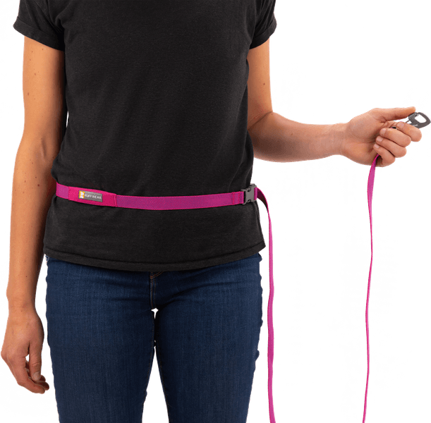 Flagline Leash Basalt Gray, view: 3