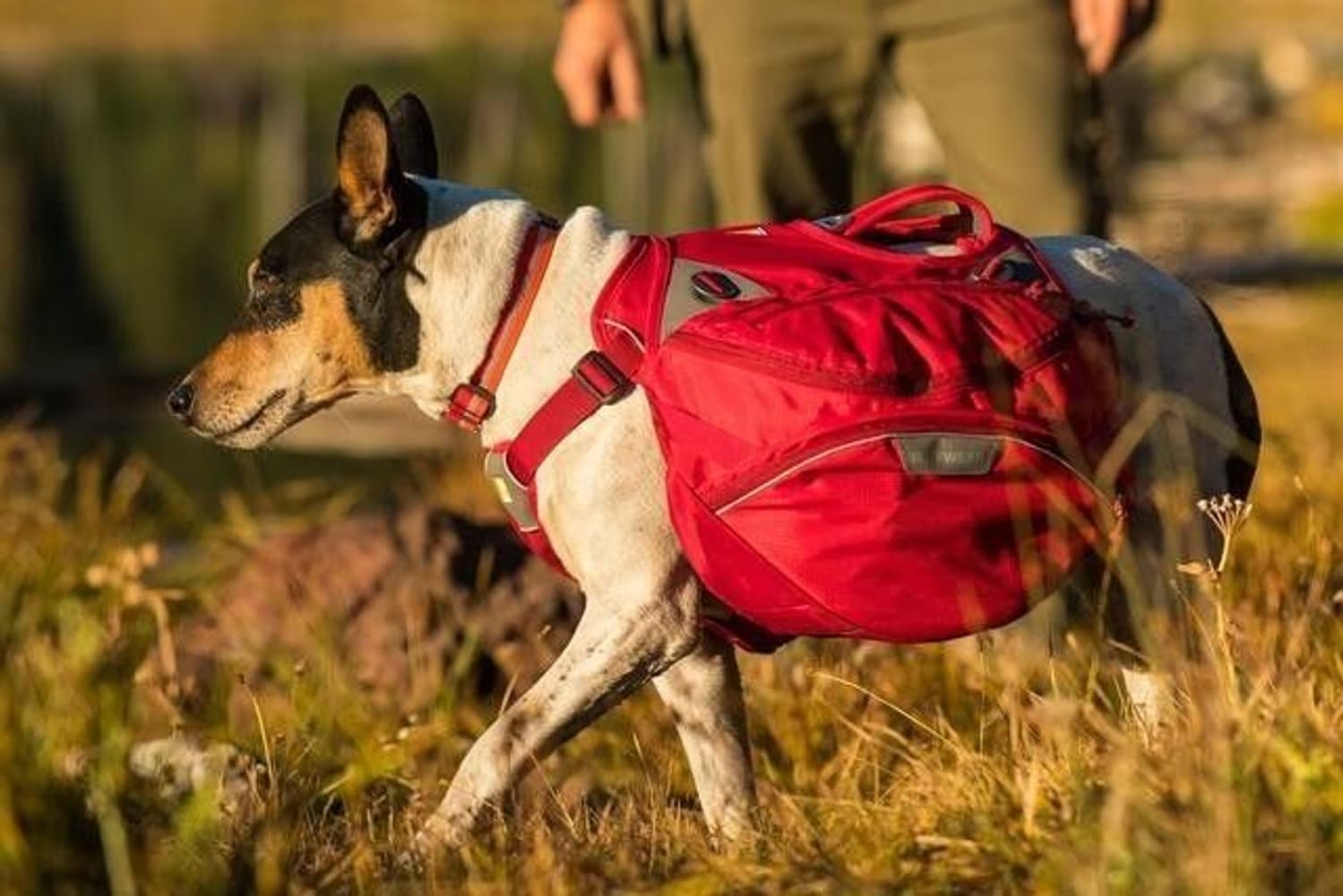 Palisades Pack Red Currant, view: 5