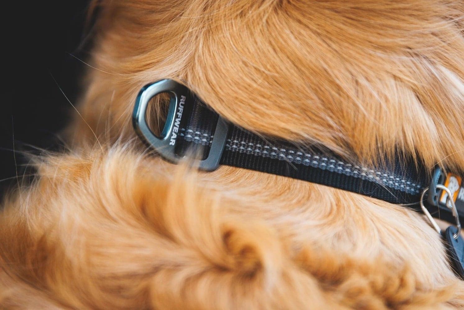 Top Rope Collar River Rock Green, view: 4