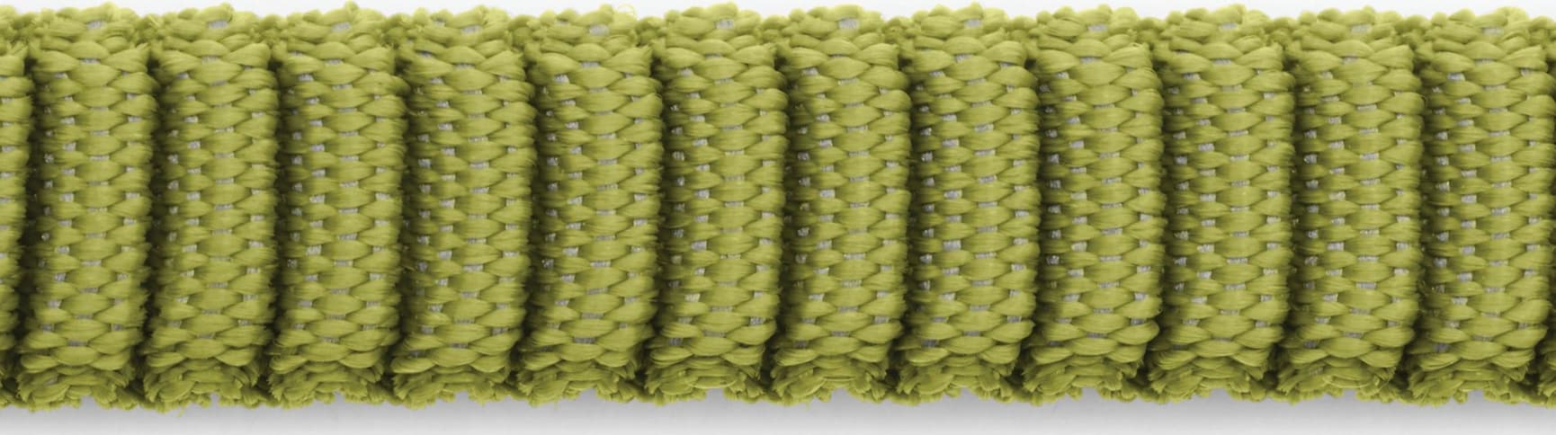 Ridgeline Leash Forest Green, view: 2