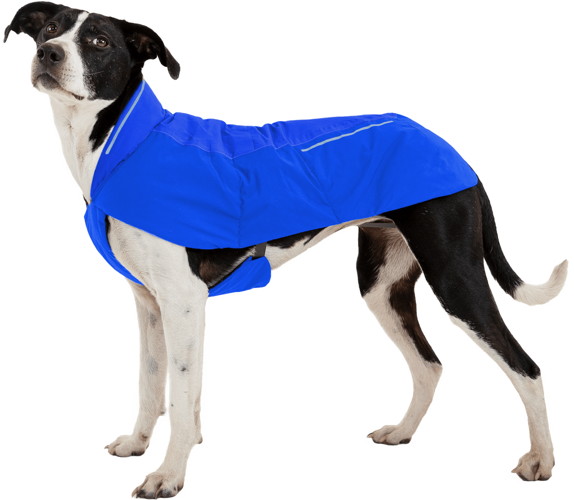 Vert Jacket XXS-S Blue Pool, view: 5